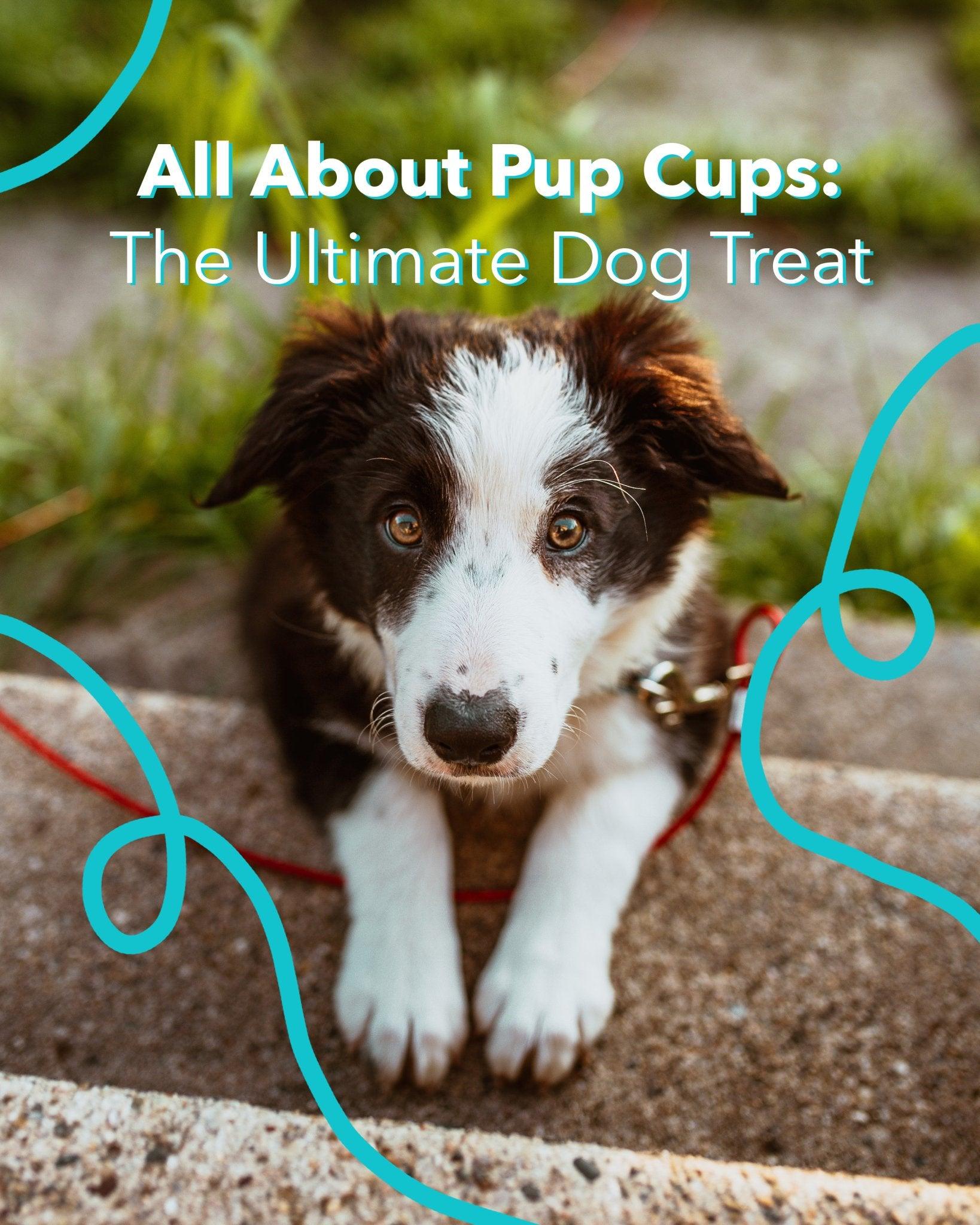 ULTIMATE PUP CUP