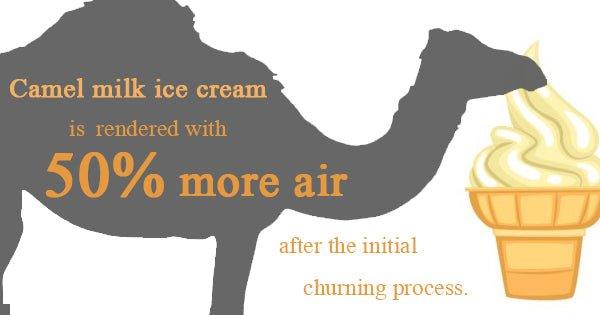 Camel Milk Ice Cream: the New Dessert Straight From the Desert - Frozen Dessert Supplies