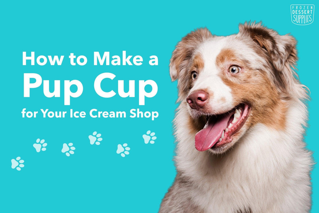 How to Make a Pup Cup for Your Ice Cream Shop - Frozen Dessert Supplies